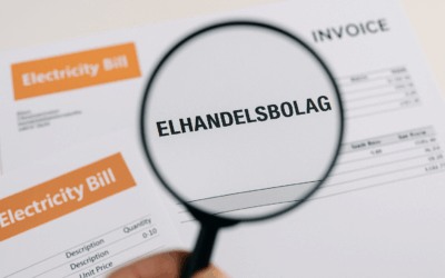 Krav på tuffare tillsyn mot elhandelsbolag – vad händer nu?